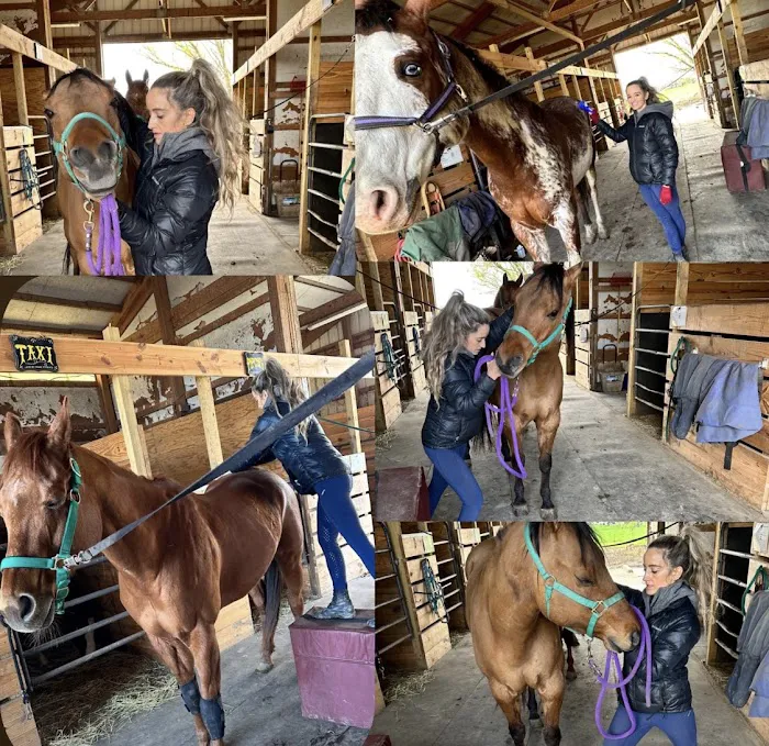 Balanced Body Vet Clinic Picture 5