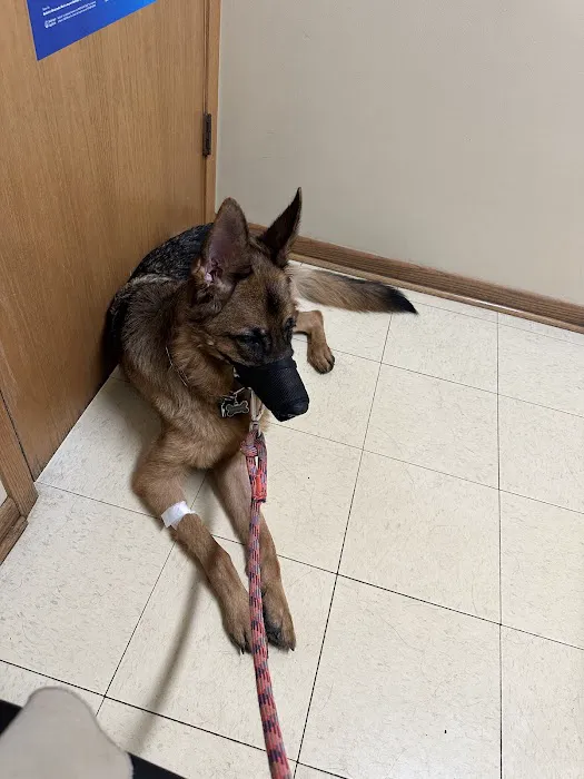 Hickory Creek Animal Hospital Picture 1