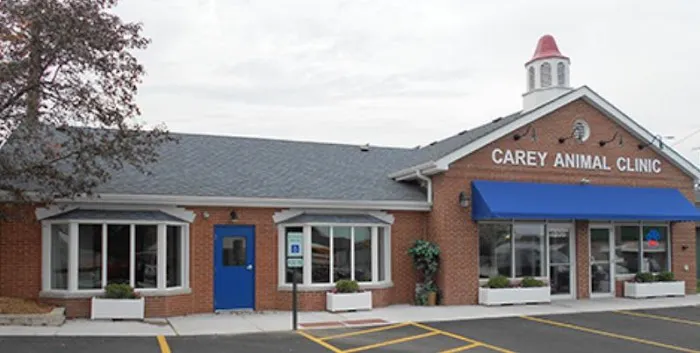 Carey Animal Clinic Picture 2