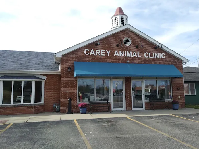 Carey Animal Clinic Picture 3