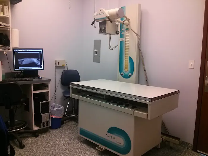 Carey Animal Clinic Picture 6