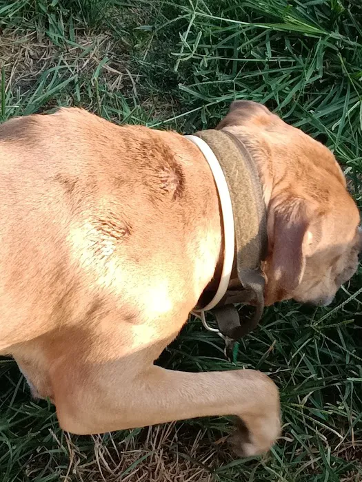 Carey Animal Clinic Picture 4
