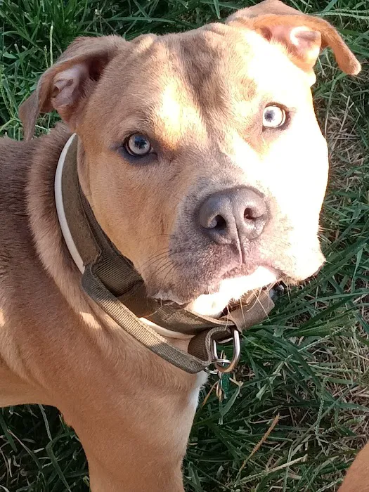 Carey Animal Clinic Picture 7