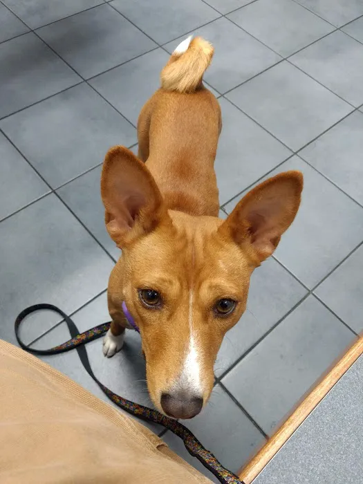 Carey Animal Clinic Picture 10