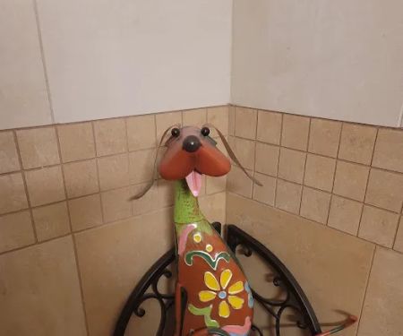 Staudacher Tom DVM