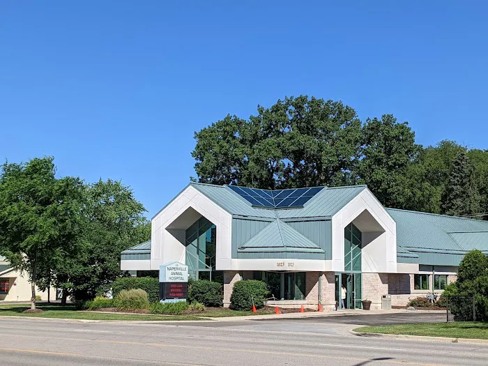 Naperville Animal Hospital Picture 2