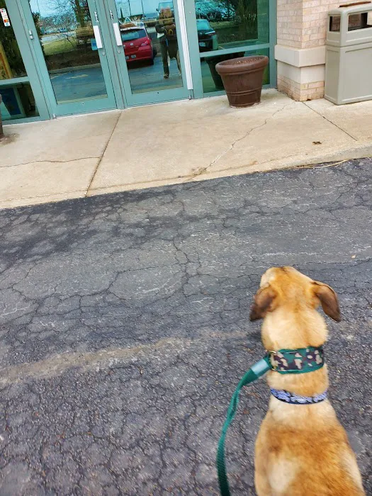 Naperville Animal Hospital Picture 4