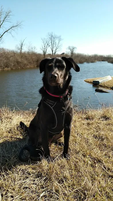 Naperville Animal Hospital Picture 10