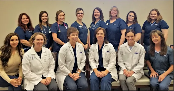 VCA Naper Ridge Animal Hospital Picture 3
