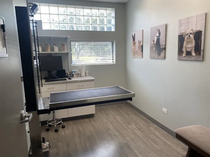 VCA Naper Ridge Animal Hospital Picture 4