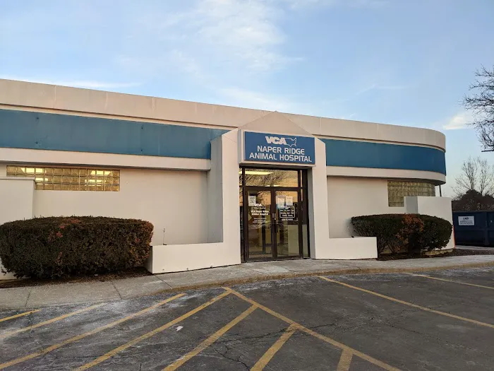 VCA Naper Ridge Animal Hospital Picture 8