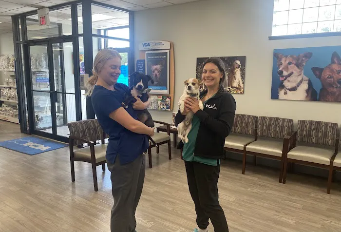 VCA Naper Ridge Animal Hospital Picture 9