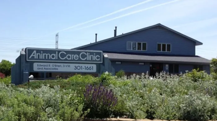 Animal Care Clinic of Homer Glen Picture 3