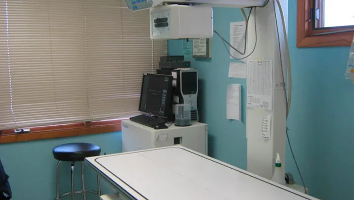 Animal Care Clinic of Homer Glen Picture 9