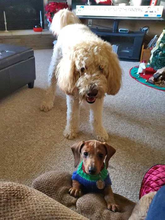Lockport Animal Hospital Picture 7