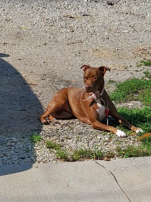 Lockport Animal Hospital Picture 5