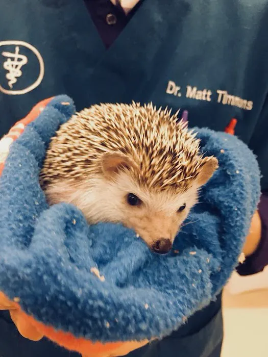Springbrook Animal Care Center Picture 9