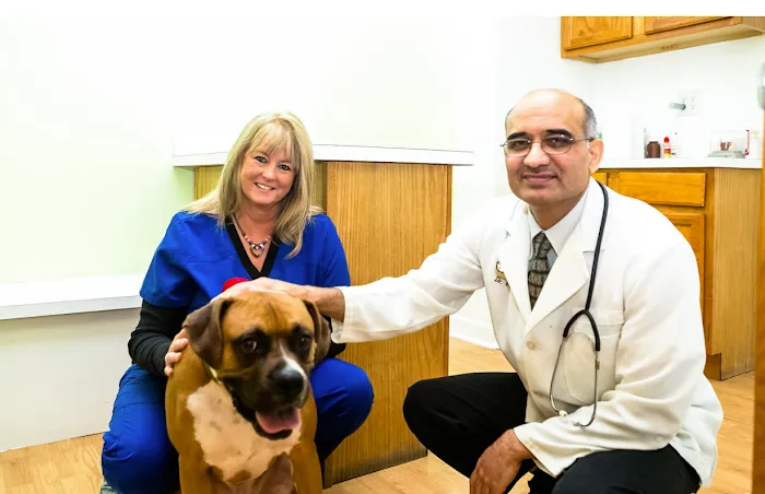 Gentle Care Veterinary Clinic Picture 2