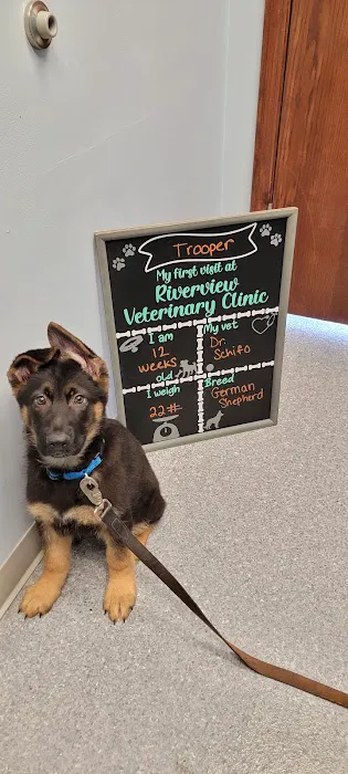 Riverview Veterinary Clinic Picture 5