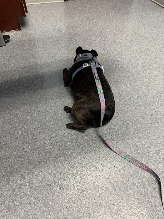 Riverview Veterinary Clinic Picture 8