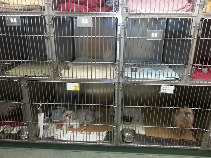 VCA Boulder Terrace Animal Hospital Picture 1