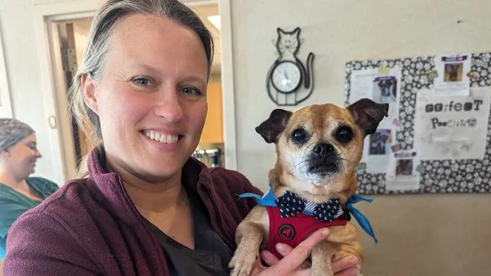 VCA Boulder Terrace Animal Hospital Picture 2