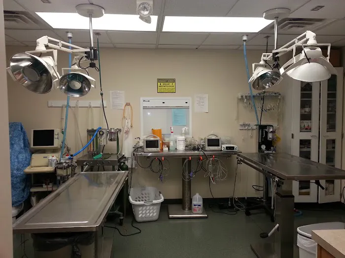 VCA Boulder Terrace Animal Hospital Picture 4