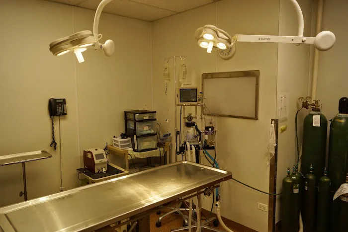 Animal Medical Center of Itasca Picture 5