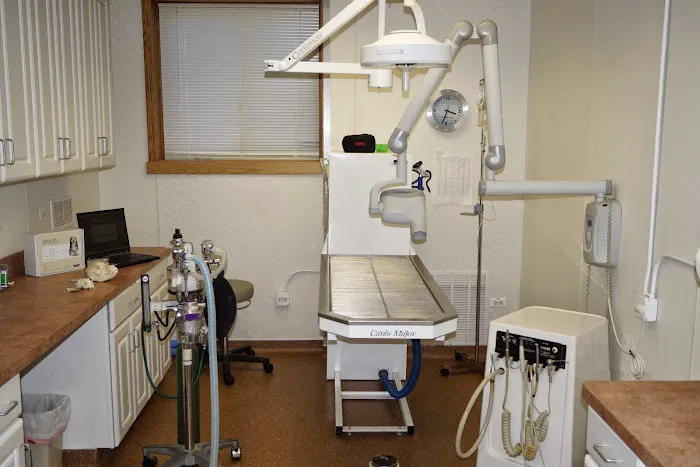 Animal Medical Center of Itasca Picture 9