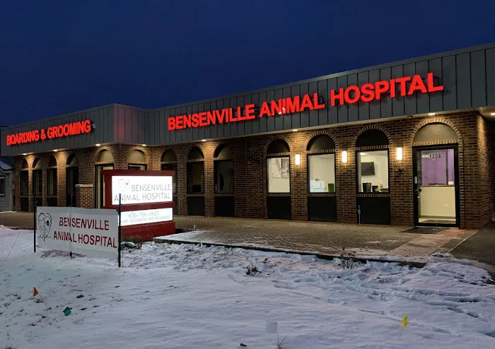 Bensenville Animal Hospital Picture 1