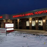 Bensenville Animal Hospital ico