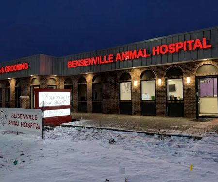 Bensenville Animal Hospital