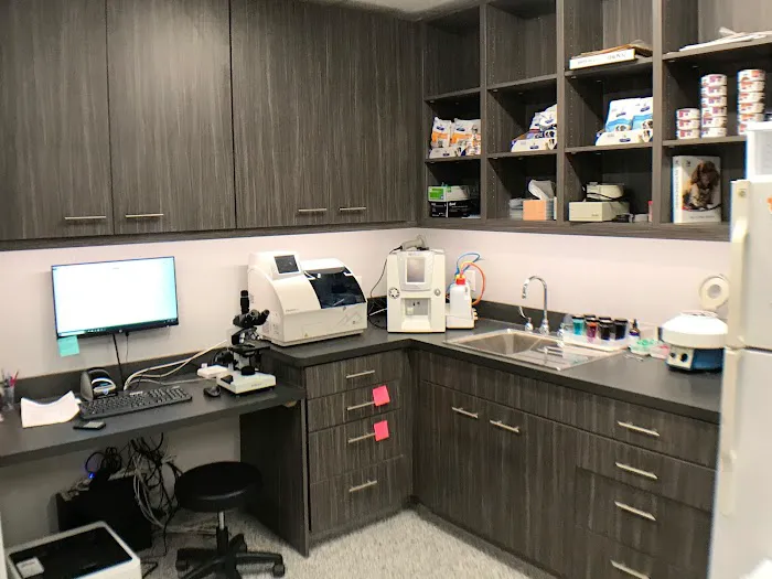 Bensenville Animal Hospital Picture 3