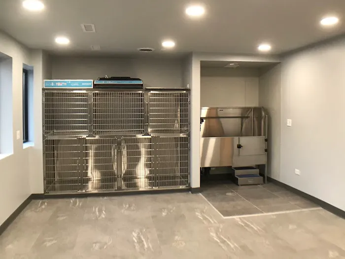 Bensenville Animal Hospital Picture 10