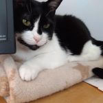 Elk Grove Veterinary Clinic
