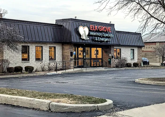 Elk Grove Veterinary Specialty & Emergency Picture 1