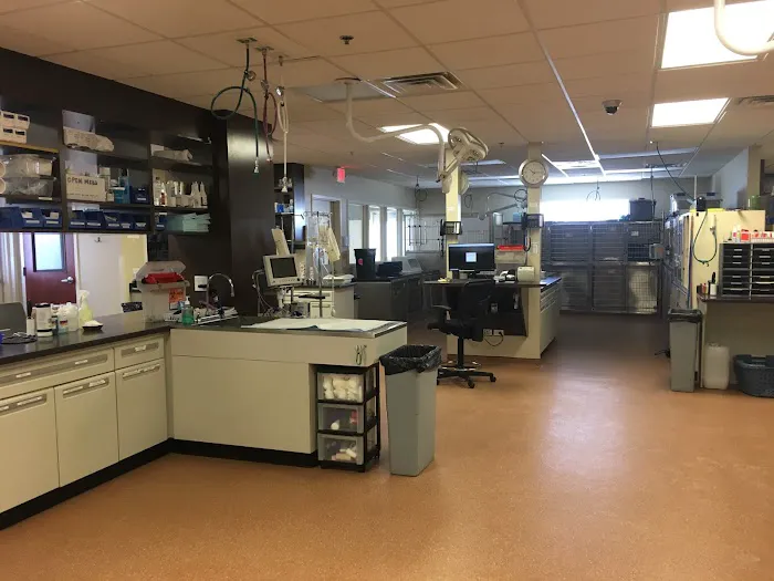 Elk Grove Veterinary Specialty & Emergency Picture 8