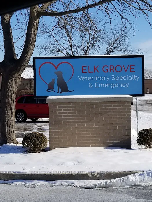 Elk Grove Veterinary Specialty & Emergency Picture 9