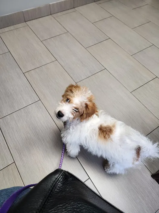 Park Rose Animal Hospital Picture 4
