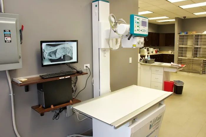 Park Rose Animal Hospital Picture 6