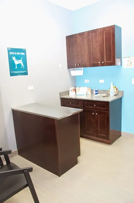 Park Rose Animal Hospital Picture 9
