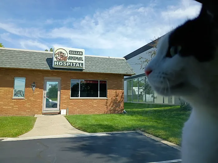 Giller Animal Hospital Picture 9