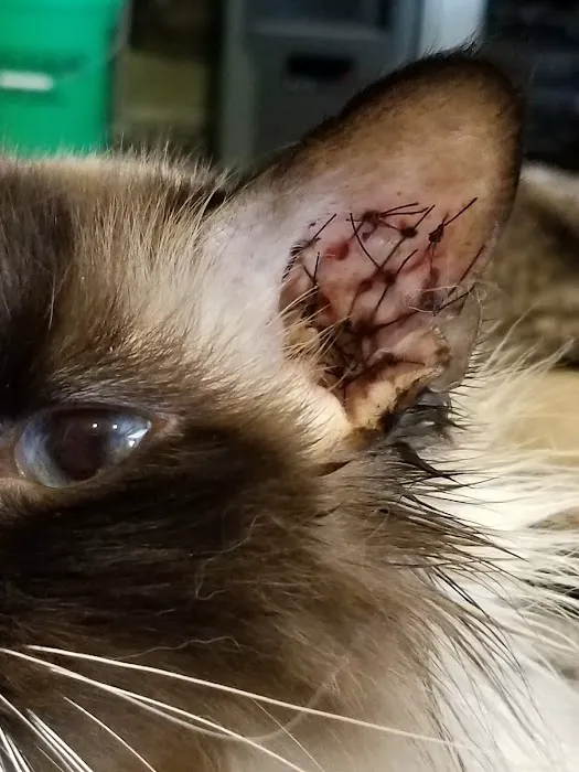 Giller Animal Hospital Picture 8