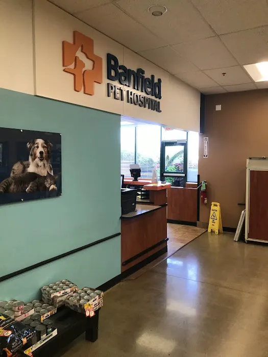 Banfield Pet Hospital Picture 6