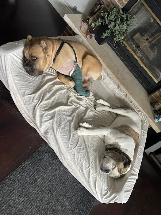 Lake Street Animal Hospital Picture 2