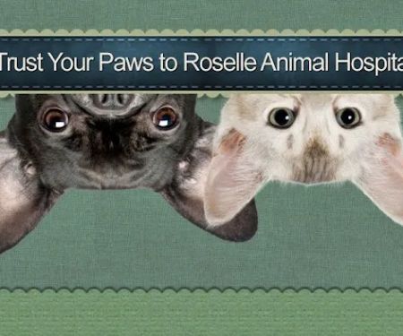Roselle Animal Hospital