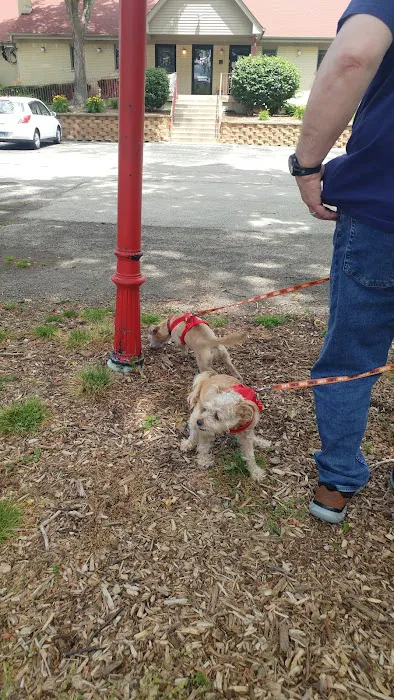 Roselle Animal Hospital Picture 6