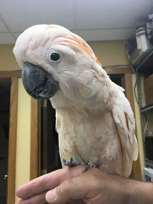Elk Grove Pet Clinic Picture 1