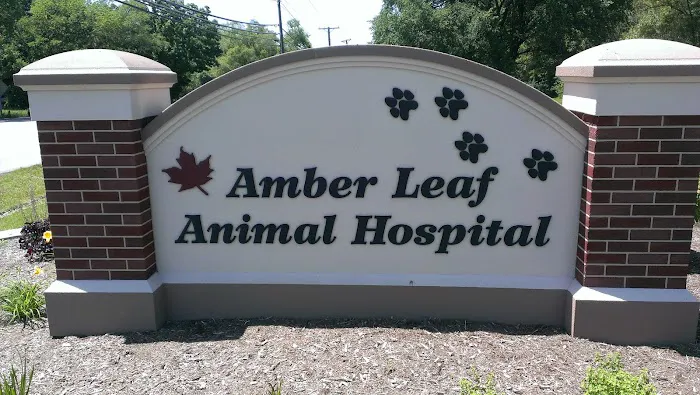 Amber Leaf Animal Hospital Picture 1