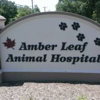 Amber Leaf Animal Hospital ico